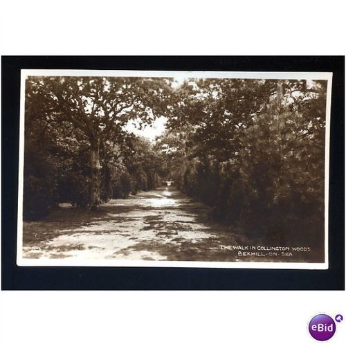 Sussex BEXHILL Collington Woods Postcard (42)