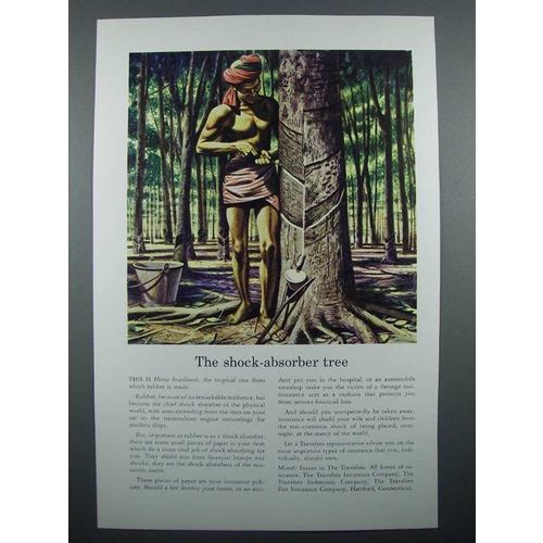 1940 Travelers Insurance Ad - The Shock-Absorber Tree