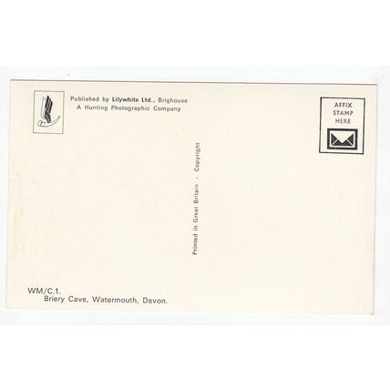 Briery Cave Watermouth Devon Postcard C1