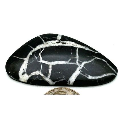 Black Septarian Freeform Gemstone Cabochon 472