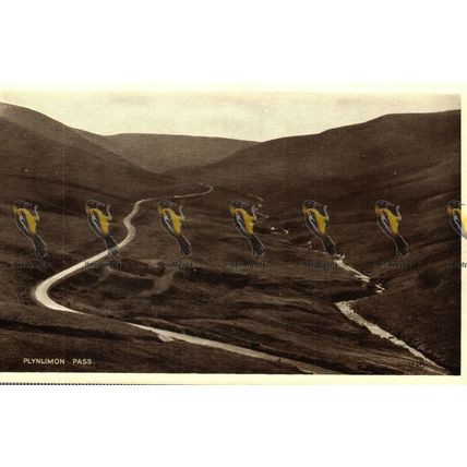 Plynlimon Pass, Wales, Valentines Photo Brown Postcard, 1932