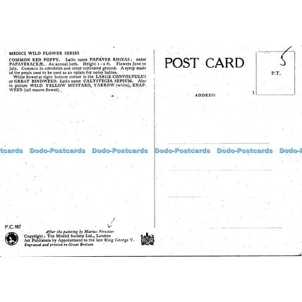 D026641 Medici Wild Flower. M. Forestier. Medici Society. No 907