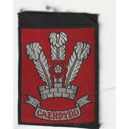 Scout Badge Wales Pre 1967?? - County - Caerdydd - Ribbon (BY250)