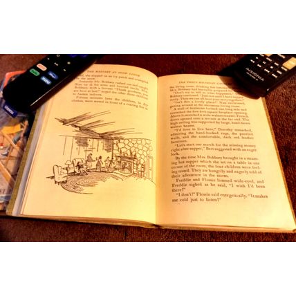 The Bobbsey Twins At Snow Lodge 1960 By Laura Lee Hope Great Shape
