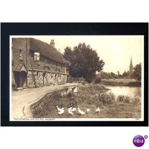 Wiltshire SALISBURY Cathedral & Old Mill Postcard by Harvey Barton (30009)