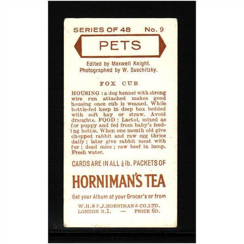 HORNIMANS PETS FOX CUB No 9 Mint
