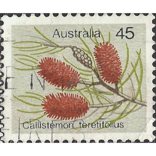 AUSTRALIA, FLOWER, Callistemon teretifolius, light brown 1975, 45c, #3