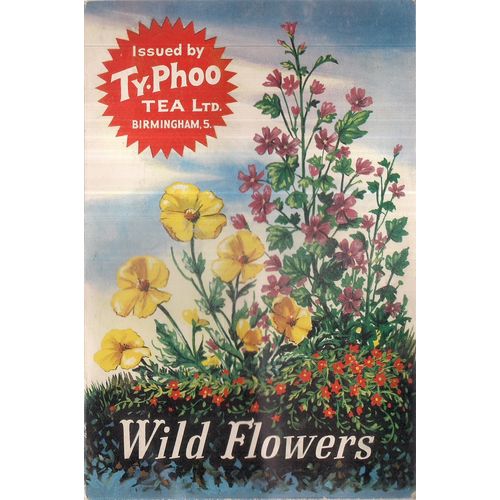 WILD FLOWERS 1961. Typhoo Tea Ltd album with 23 cards.... no 4 missing