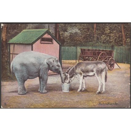 Baby Friends, Elephant and Donkey, 1904 - Tuck's Animal Life Postcard