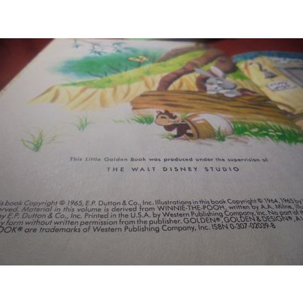 WINNIE The POOH & DONALD DUCK Little Golden Hardcover Books! 1965 & 1974! $10.00