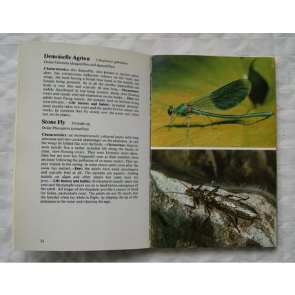 1978 Chatto Nature Guides, British & European Insects