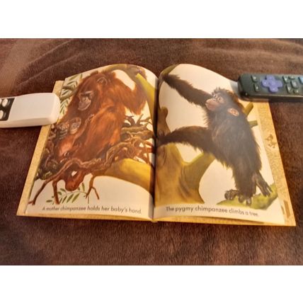 Little Golden Book Wild Animals By Feodor Rojankovsky 5.0 Very Good/Fine 1970