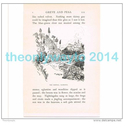FLORENCE, THE CERTOSA (1), ITALY, BOOK ILLUSTRATION/PRINT, 1904