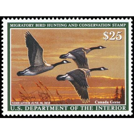 RW84, Mint NH 2018 Canada Geese Federal Duck Stamp - Stuart Katz
