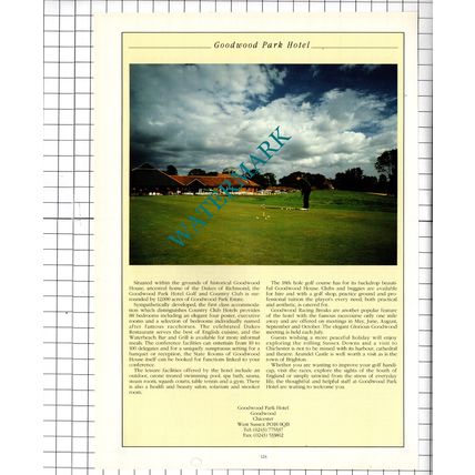 Goodwood Park Hotel Goodwood Chichester Sussex Advert - 1995 Cutting