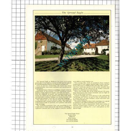 The Spread Eagle Hotel Midhurst Sussex Advert - 1995 Cutting