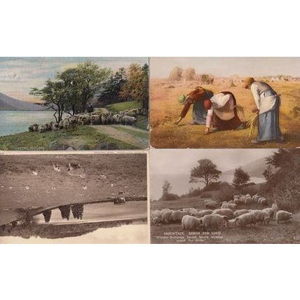 Mountain Moor and Lock Farming 4x Vintage Real Photo Postcard s