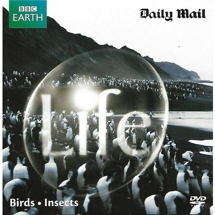 LIFE : BIRDS / INSECTS : DAILY MAIL PROMOTIONAL DVD