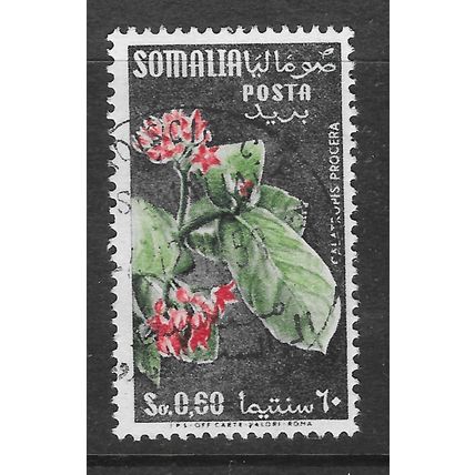 SOMALIA 195? FLOWERS 0.60s USED