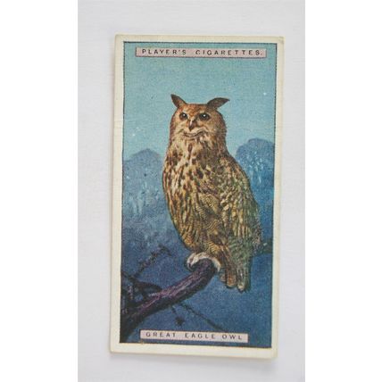 1924 Players Natural History card No. 33 Great Eagle Owl
