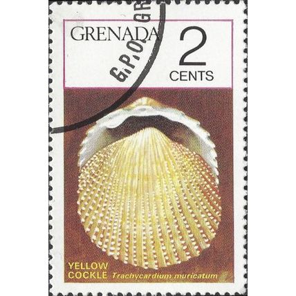 GRENADA, MOLLUSC, Yellow Cockle, Trachycardium muricatum, violet 1975, 2c