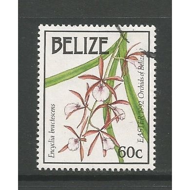Belize 1992 Easter 60c Orchid, used. SG1122