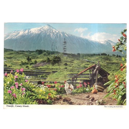 TENERIFE, CANARY ISLANDS used postcard.1978 postmark #
