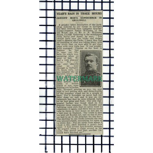 Emlyn Williams 5th Welsh Roath Cardiff Gallipoli WW1 - 1916 Cutting