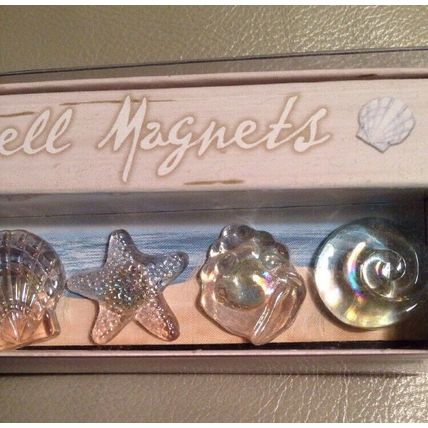 Grasslands Road Sea Shell Magnets "By the Sea" Collection/6 Glass Sea Shells NEW