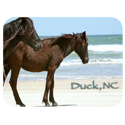 Duck North Carolina with Horses Fridge Magnet