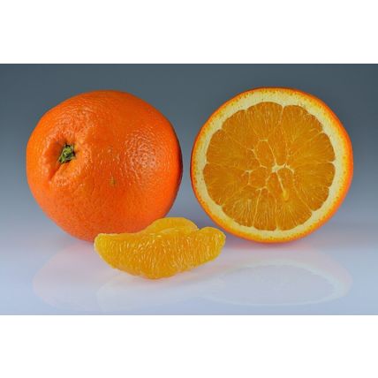 Orange, Sun's Eye Essential Oil, 1/2 Ounce Bottle
