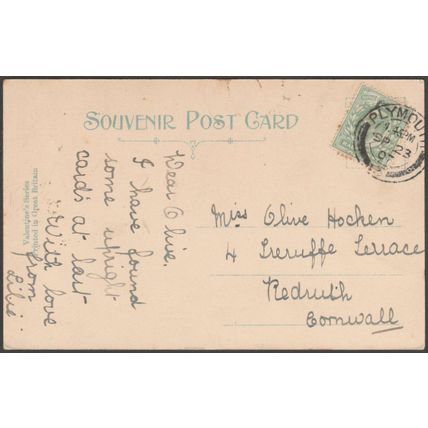 Avenue and Lodge at Anthony, Cornwall, 1907 - Valentine's Postcard