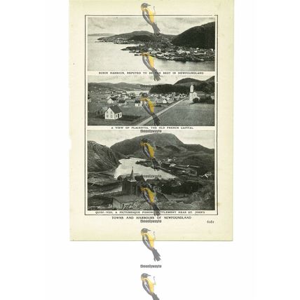 Burin, Placentia & Quidi-Vidi, Newfoundland, Canada, Book Illustration, 1909