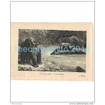 ON THE ZAMBESI, AFRICA, Book Illustration, c1883