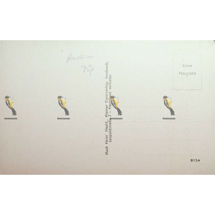 Gschnitz 1242 m Tirol, Austria, 3067 RP Alpiner Kunstverlag, Postcard
