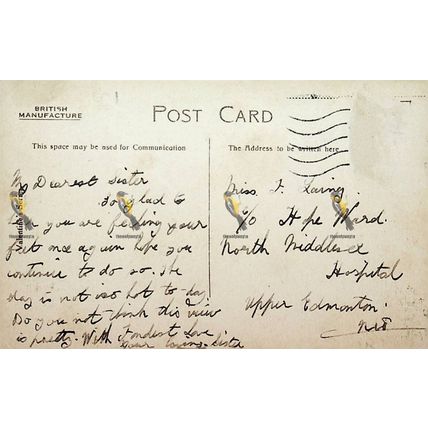 Madeira Walk, Brighton, 7208 Valentines Series, Postcard, 1900s