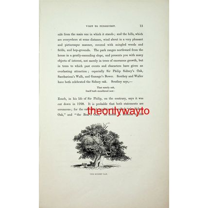Sidney Oak, Penshurst, Kent, Book Illustration (Print), 1840