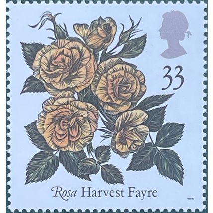 GB 1991 Congress Roses 33p Harvest Fayre Unmounted Mint MNH SG1571 Sc1385 stamp