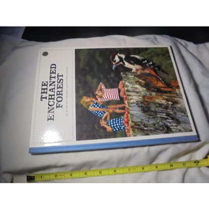 1966 British HC! The ENCHANTED FOREST! Classic Kids Book! Read!! $30.00!!