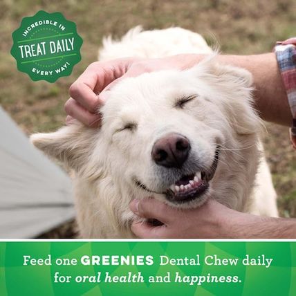 Greenies Original Large Natural Dental Care Dog Treats, 54 Oz. Pack (34 Treats)