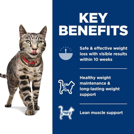 Hill'S Science Diet Perfect Weight, Adult 1-6, Weight Management Support, Dry Ca