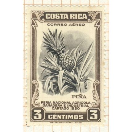 Costa Rica 1950 (Airmail) - 4c - Pineapple - MH