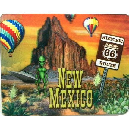 New Mexico 3D Fridge Magnet
