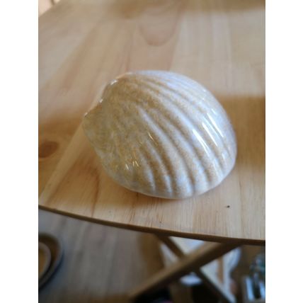 Pair Of Ceramic Shells