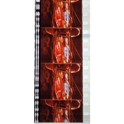 Bee Gee's. Pk MTP -BGs - A013m . 1 STRIP OF 5 - 35MM FILM CELLS.