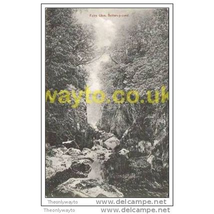 FAIRY GLEN, BETTWS-Y-COED, WALES, 1905, Postcard