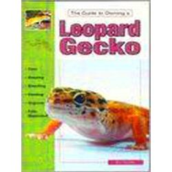 Leopard Geckos