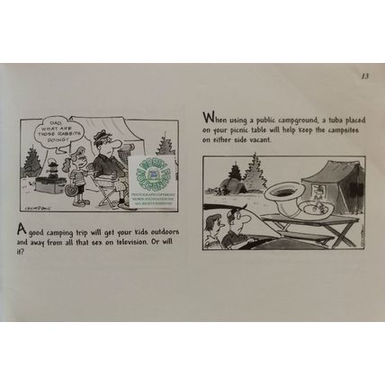 EVERYTHING YOU NEVER WANT TO KNOW ABOUT CAMPING CARTOON HUMOR by BRUCE COCHRAN
