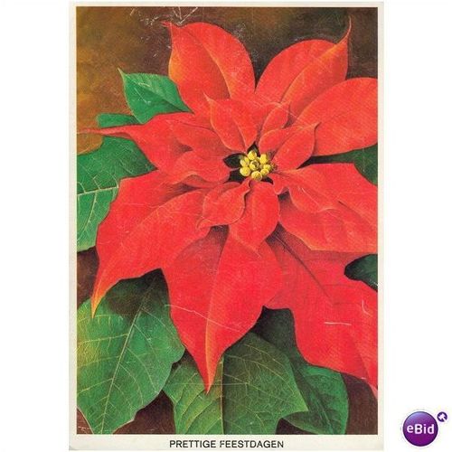 Netherlands Postcard 1973 - Prettige Feestdagen