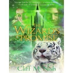 Wizard's Promise